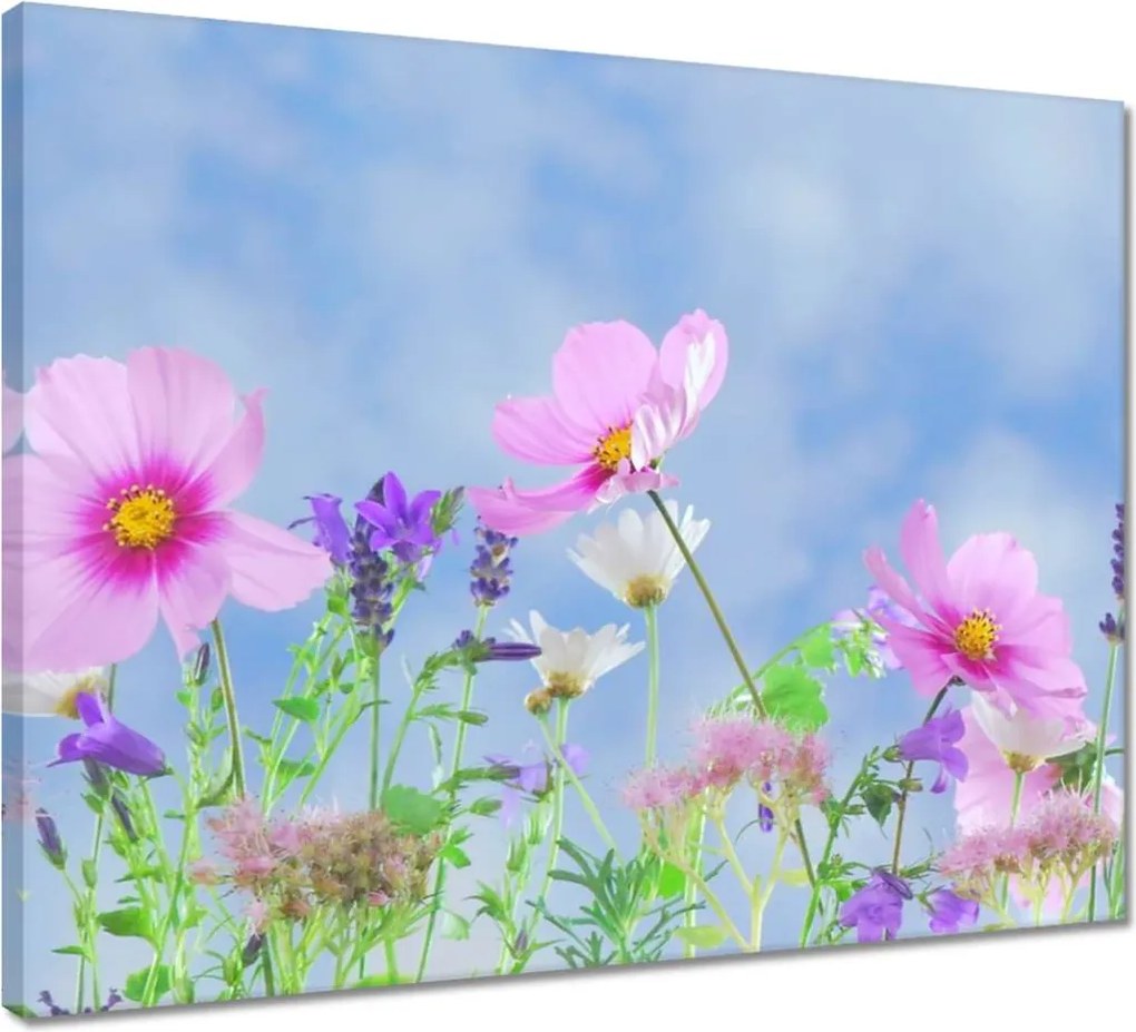 Vászonkép 50x40 Finom virágok