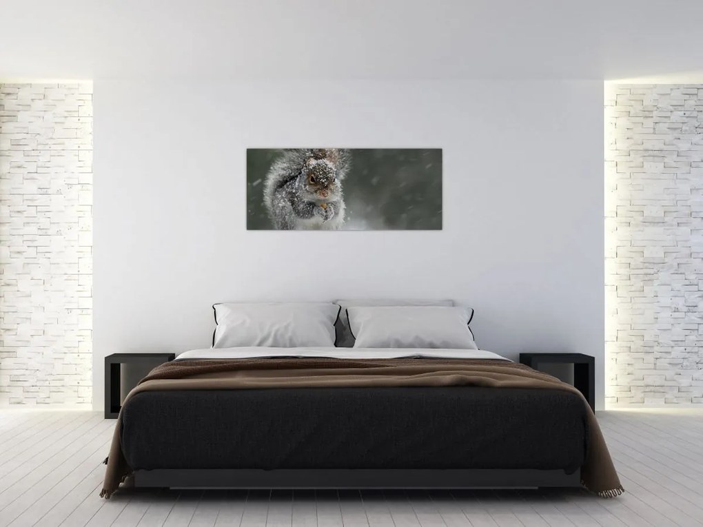 Kép - Mókus télen (120x50 cm)