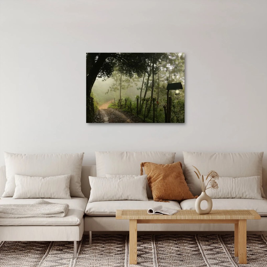 Reggeli köd képe (70x50 cm)