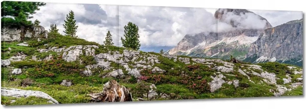 Festmények 120x40 Hegyi kilátás Tájkép