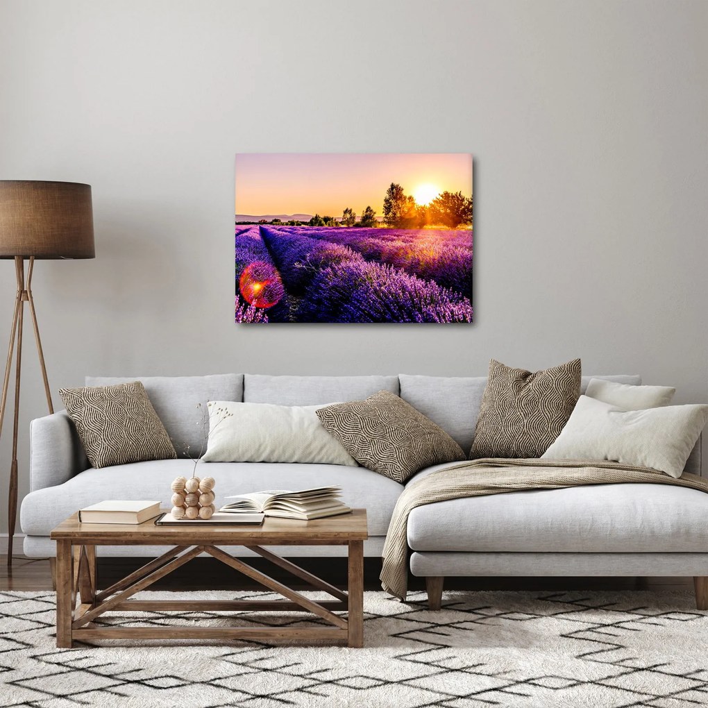 A levendula mező képe (70x50 cm)