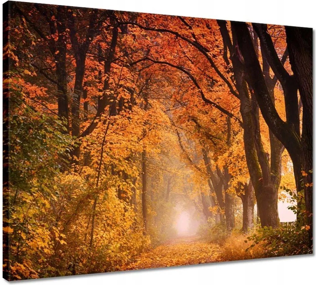 Vászonkép 50x40 Őszi kilátás