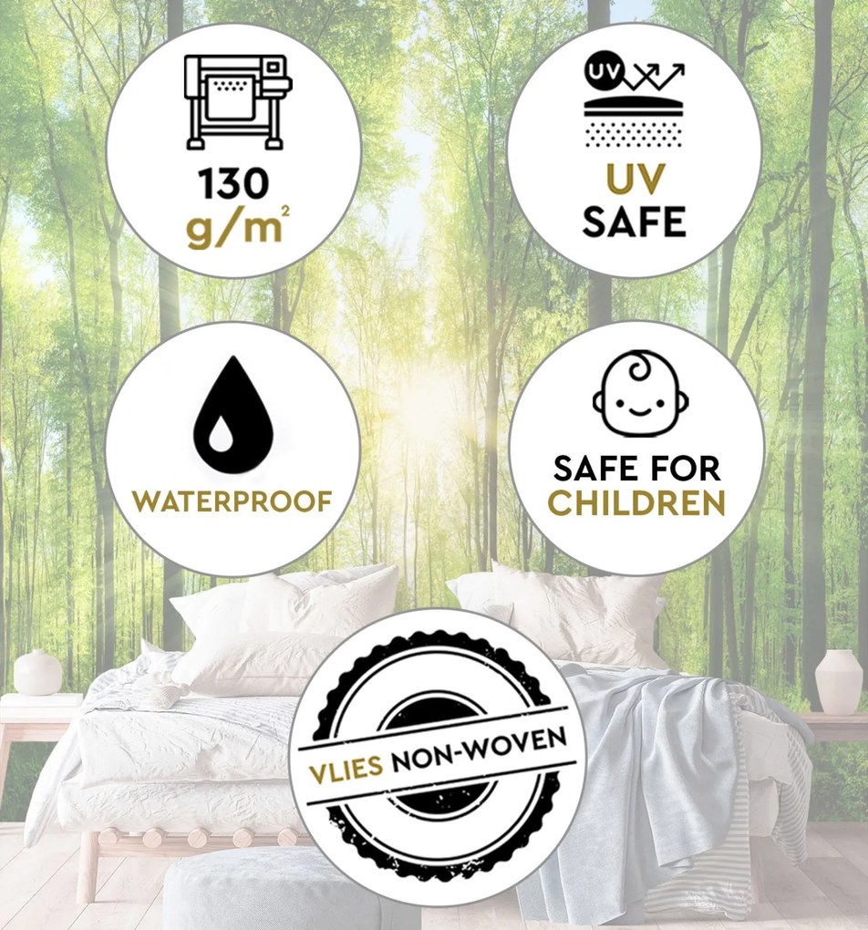 Gario Fotótapéta Nap ragyog a fák tetején keresztül Anyag: Vlies, Méret: 250 x 250 cm