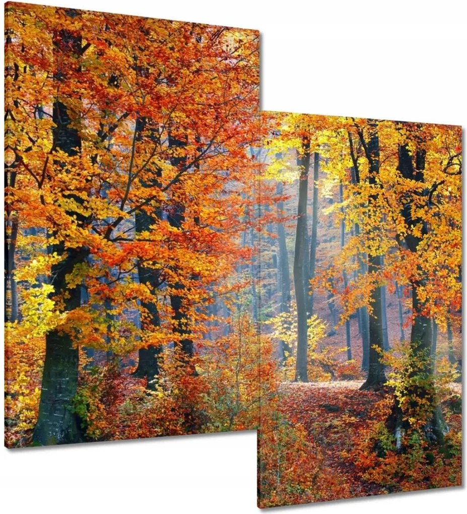 Vászonkép 60x60 Arany ősz