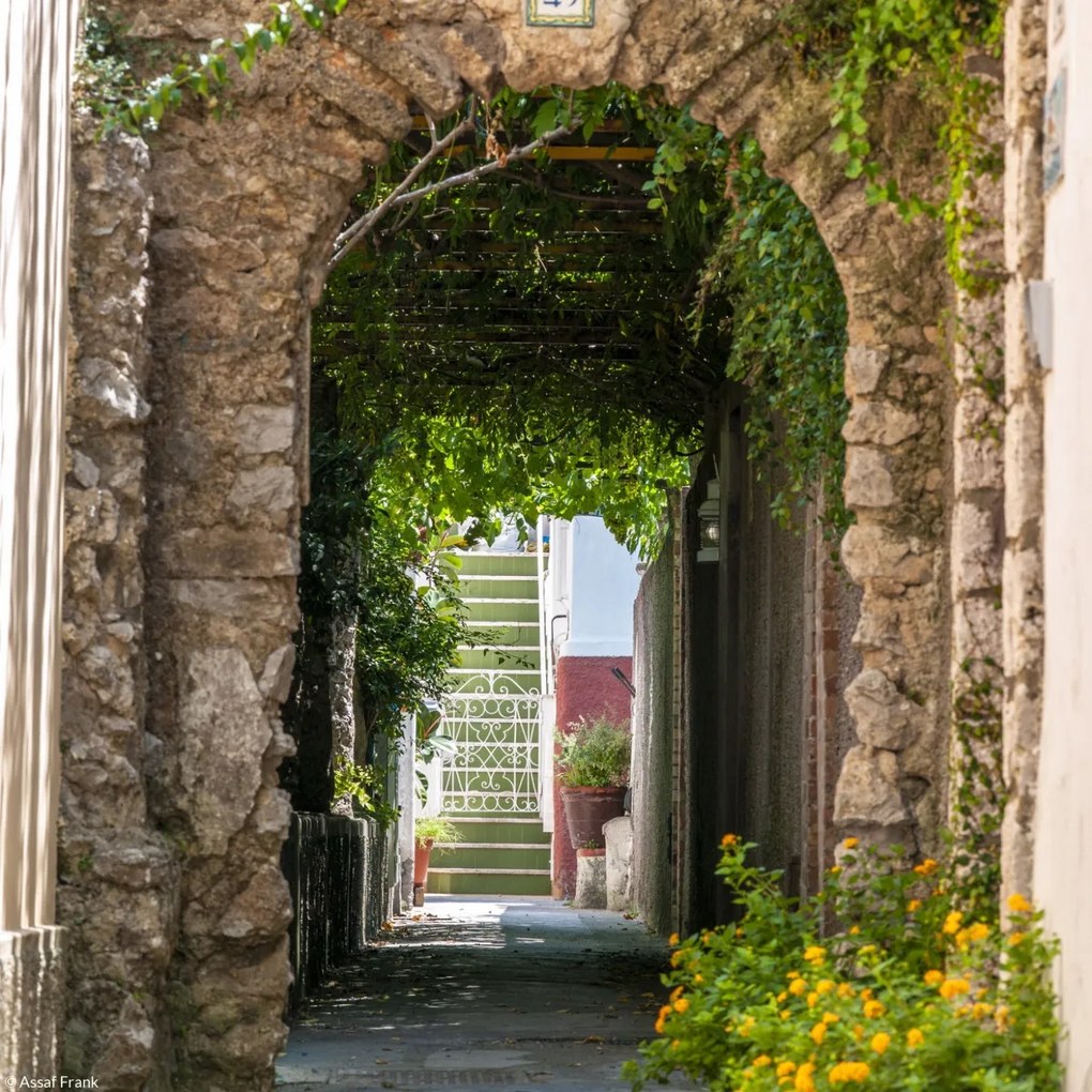 Poszter 20x20cm Capri 2, Assaf Frank