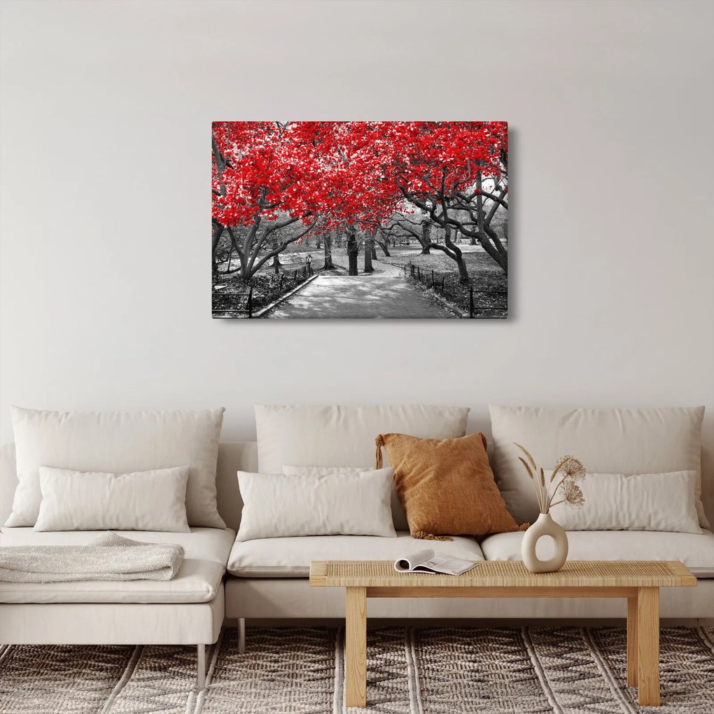 Kép - vörös fák,Central Park, New York (90x60 cm)