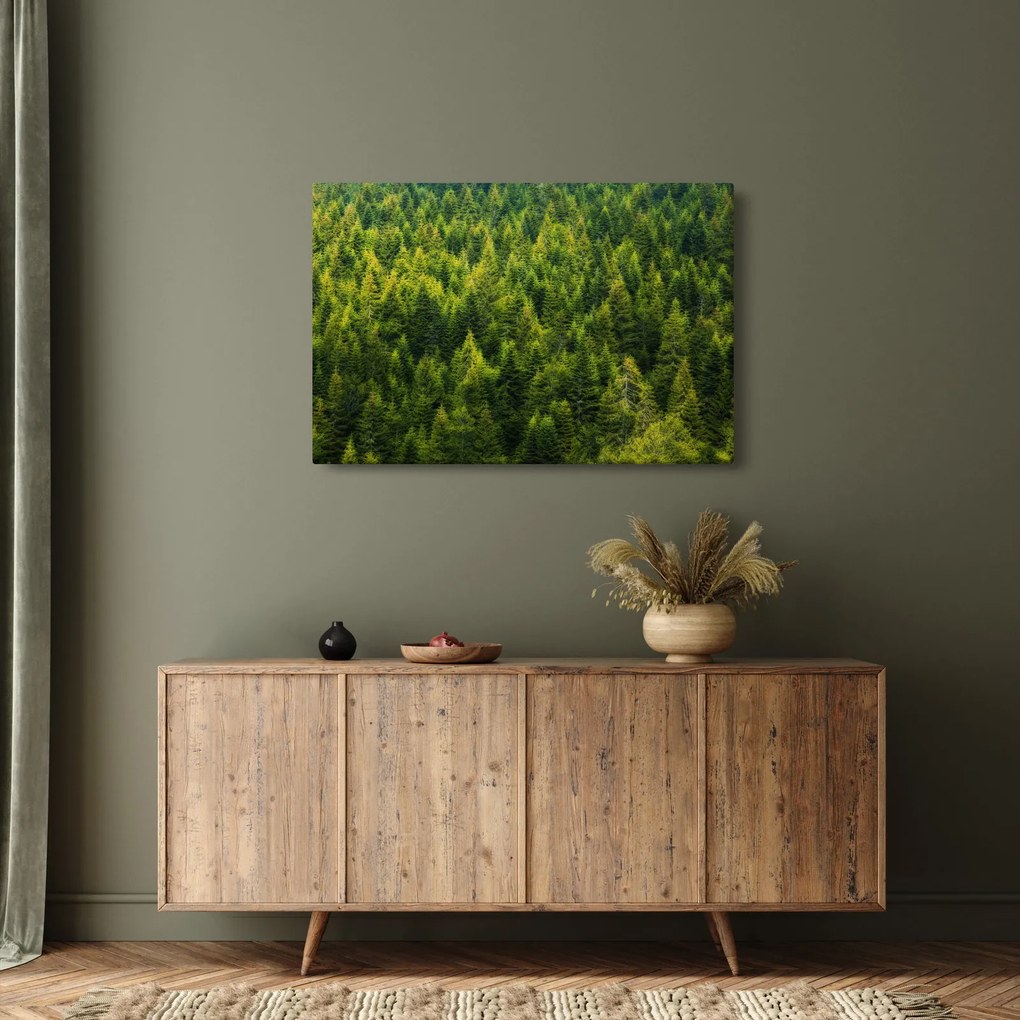 Kép - sűrű erdő (90x60 cm)