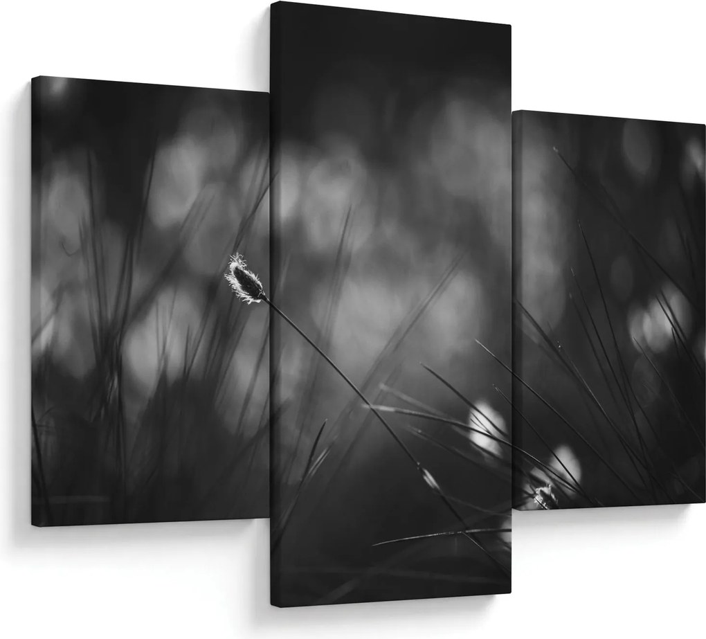 Kép - Mezei fű (90x60 cm)