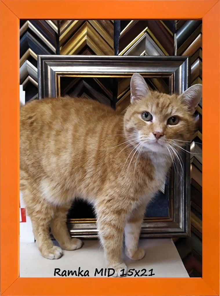 Klasszikus képkeret falra és asztalra, 15x21 cm, fa