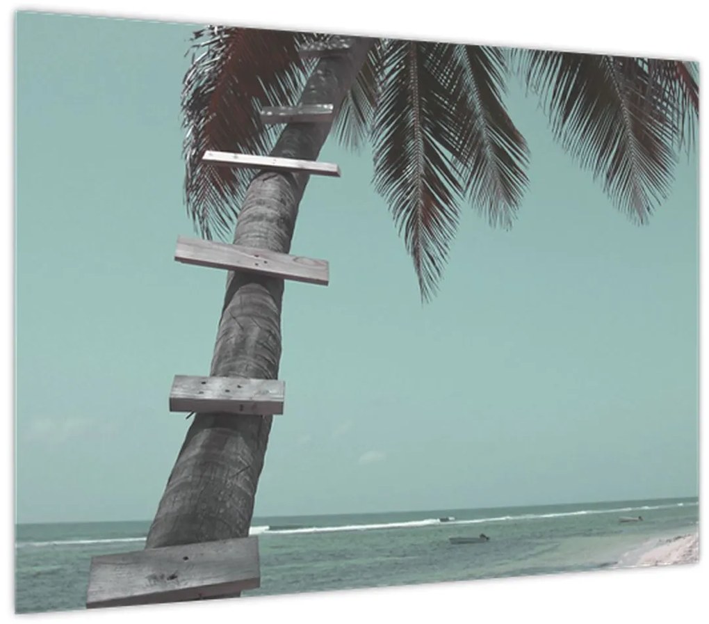 Üveg kép - Palma a Karib-tengeren (70x50 cm)