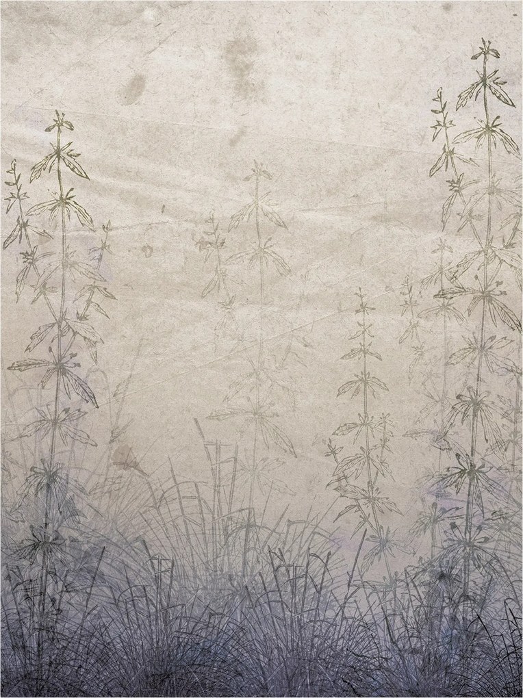 Fotótapéta Fű Minimalizmus Természet Öko Boho Meditáció 184x254 vinil +ragasztó