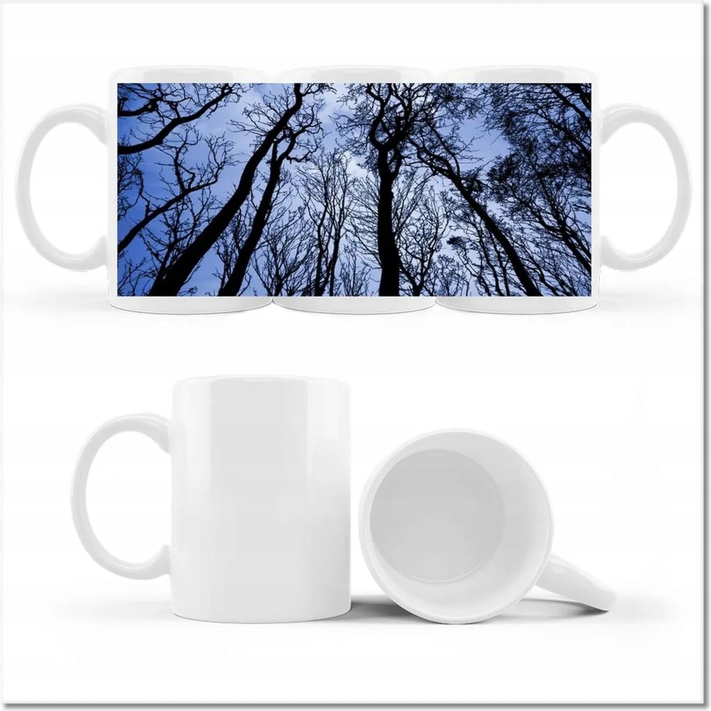 Fotó bögre Erdő Fák Kilátás alulról