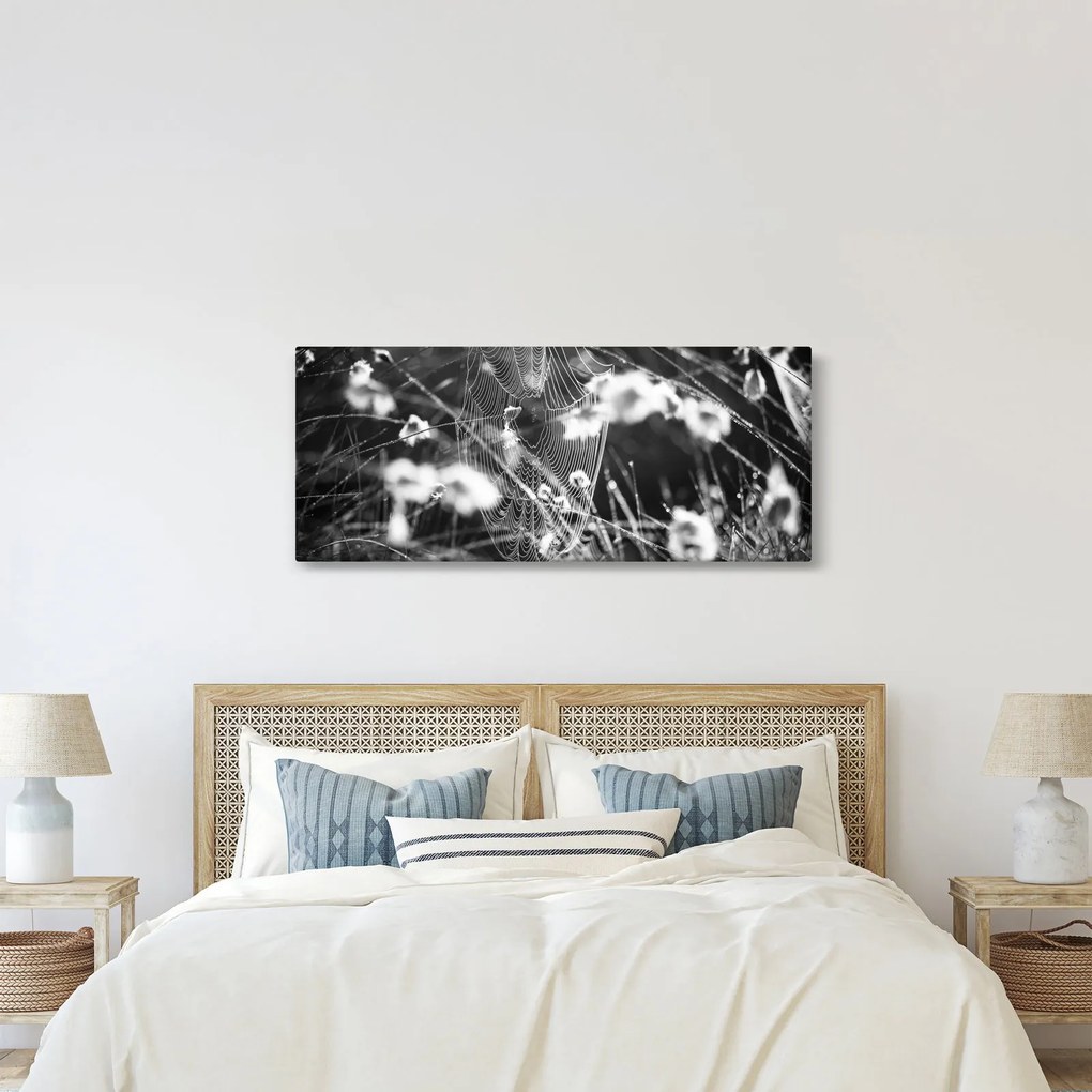 Kép - Pókháló a réten (120x50 cm)