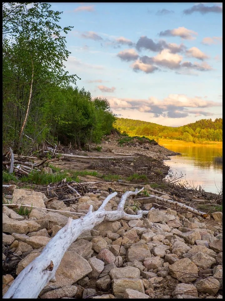 Poszter 60x90 táj tó part víz fa
