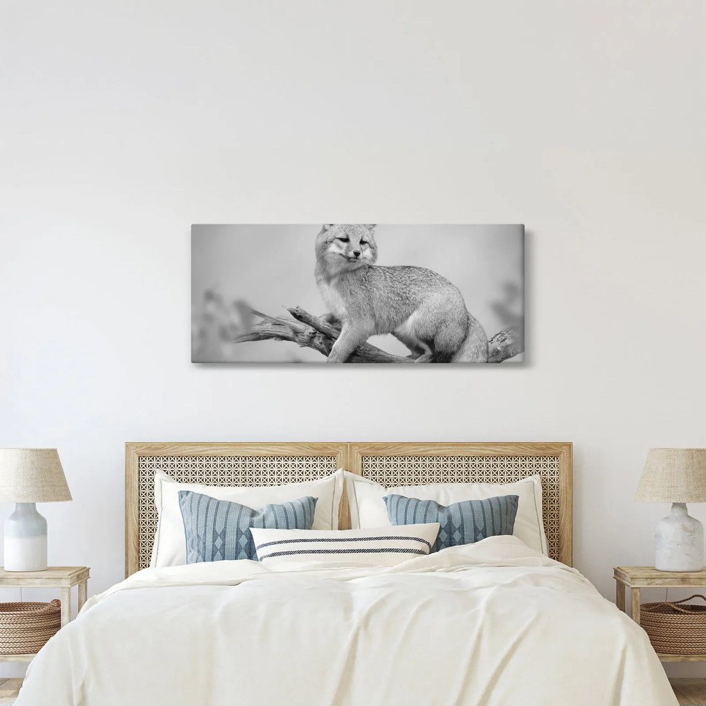 Kép - Szürke róka (120x50 cm)