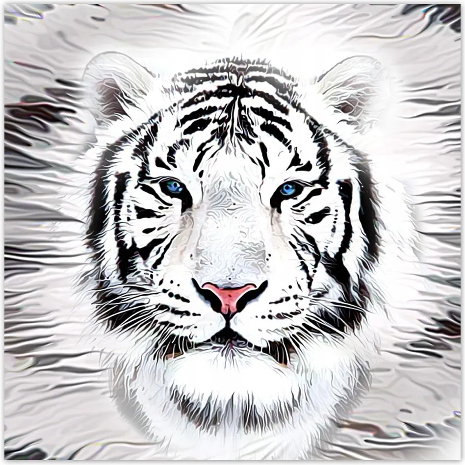 Fotótapéta flizelina 208x208 Fehér tigris