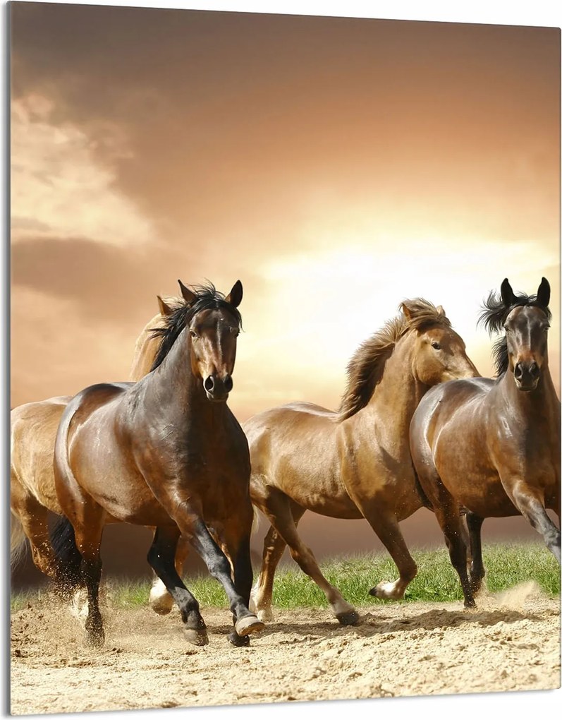 Üveg Vágódeszka 40x52 Lovak a Konyhában