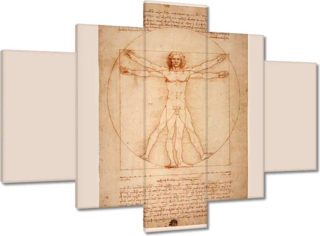 Festmények 150x105 A vitruviusi ember