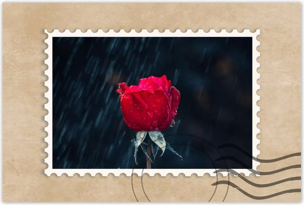 Poszterek 120x80 Rózsa Virág Virágok Rózsa