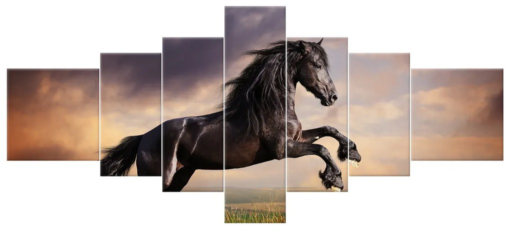 Gario Vászonkép Eros fekete ló - 7 részes Méret: 210 x 100 cm