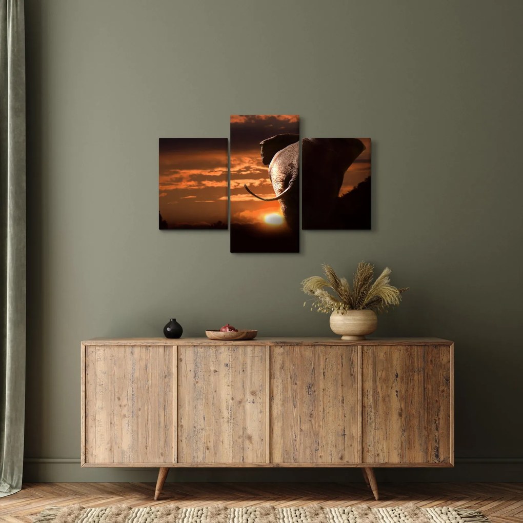 Elefánt képe (90x60 cm)