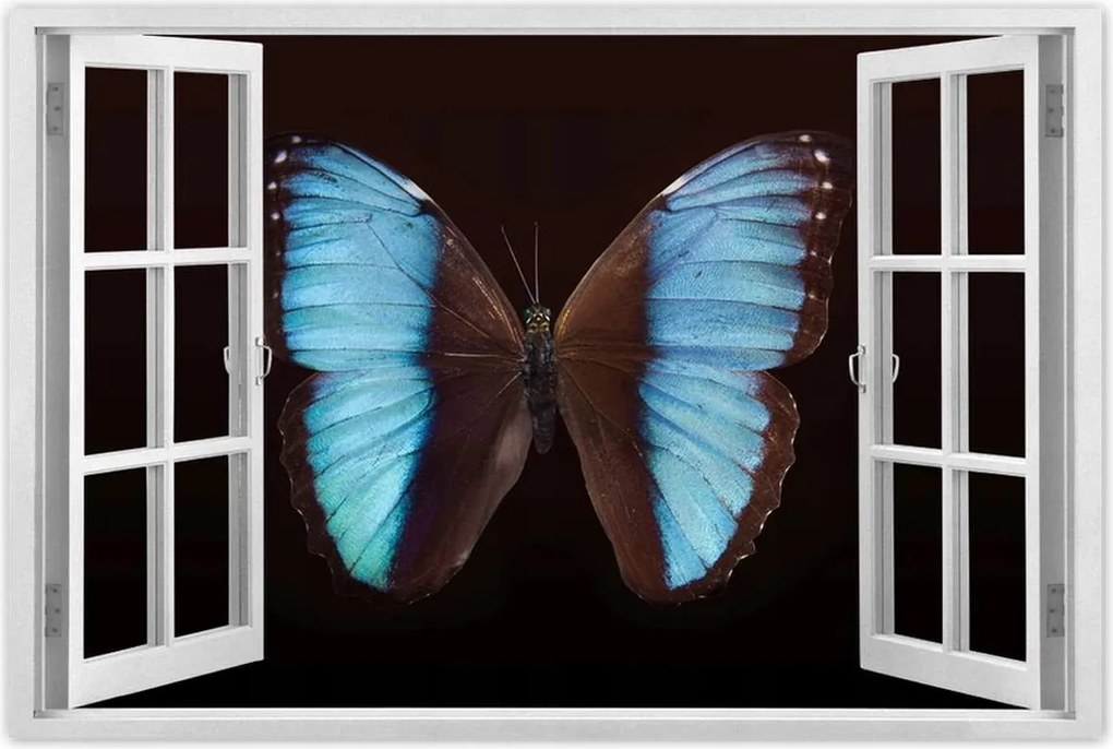 Poszter 60x40 Kék pillangó