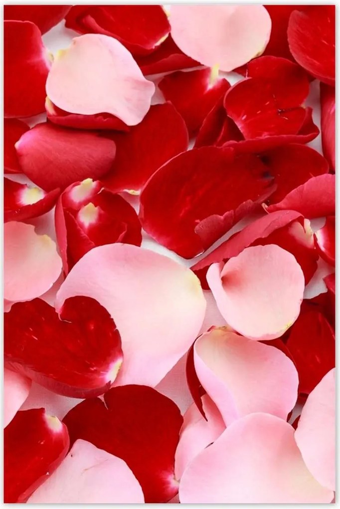 Poszterek 80x120 Nőnap Ajándék Love