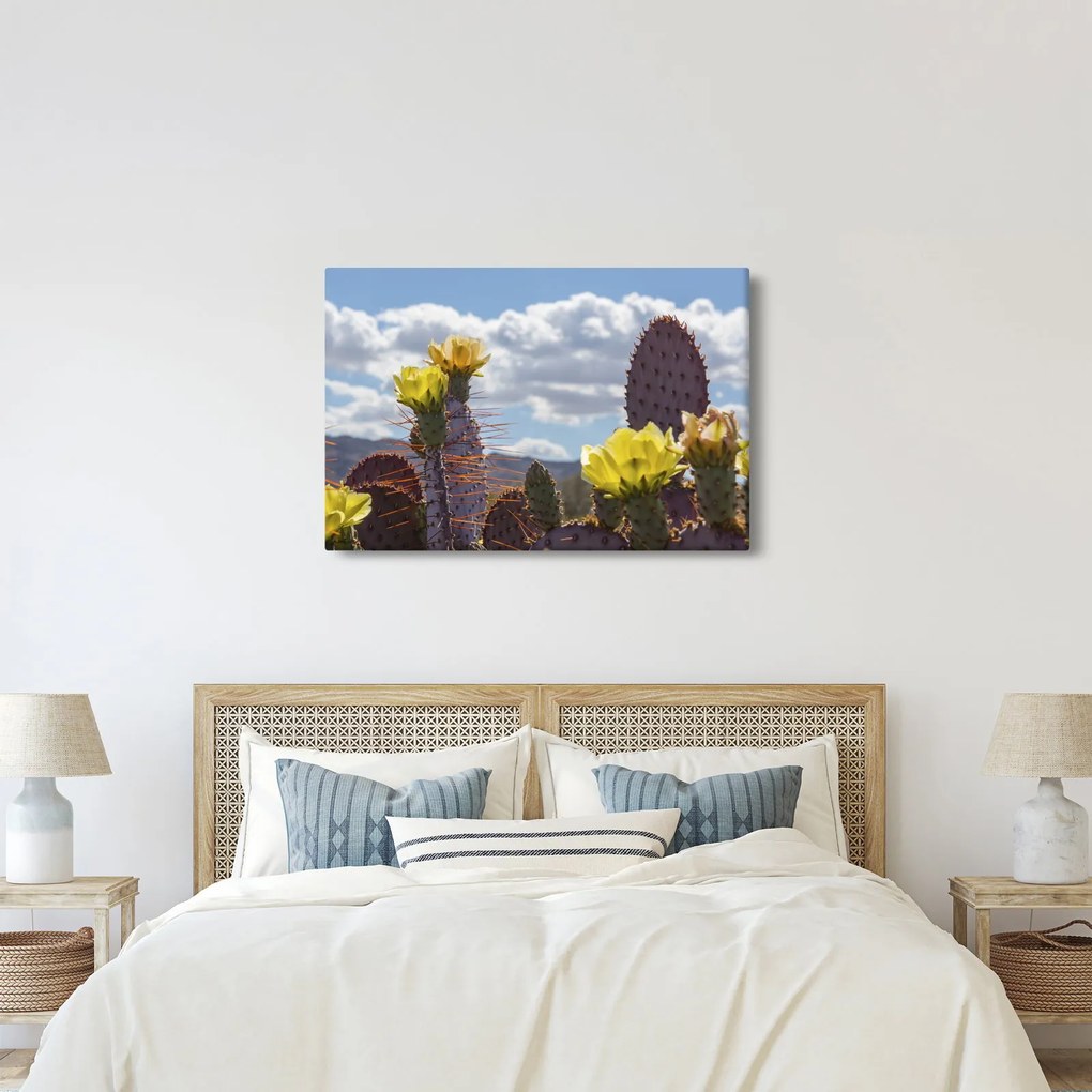 Fügekaktusz képe (90x60 cm)
