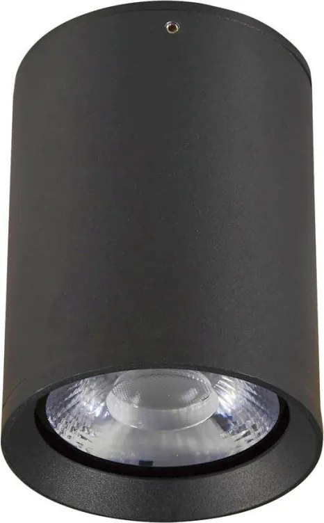 ITALUX OPN-2003-4K CERVIA Hengeres Mennyezeti Lámpa LED IP54