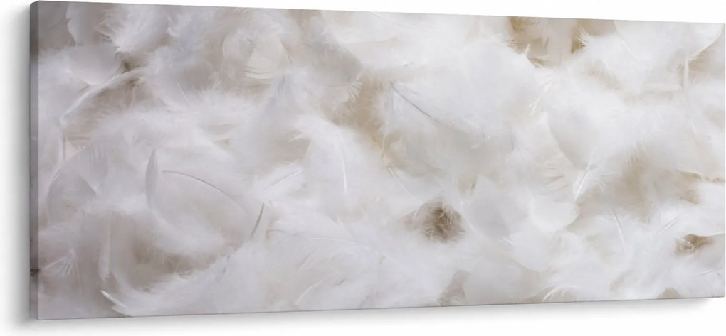 Kép - Fehér tollak (120x50 cm)