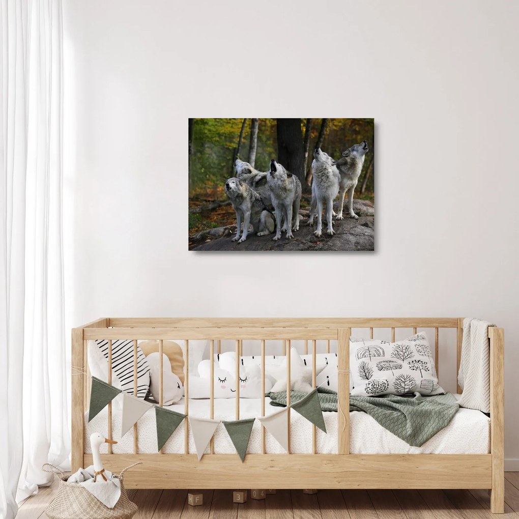 Üveg kép - Farkasok a sziklán (70x50 cm)