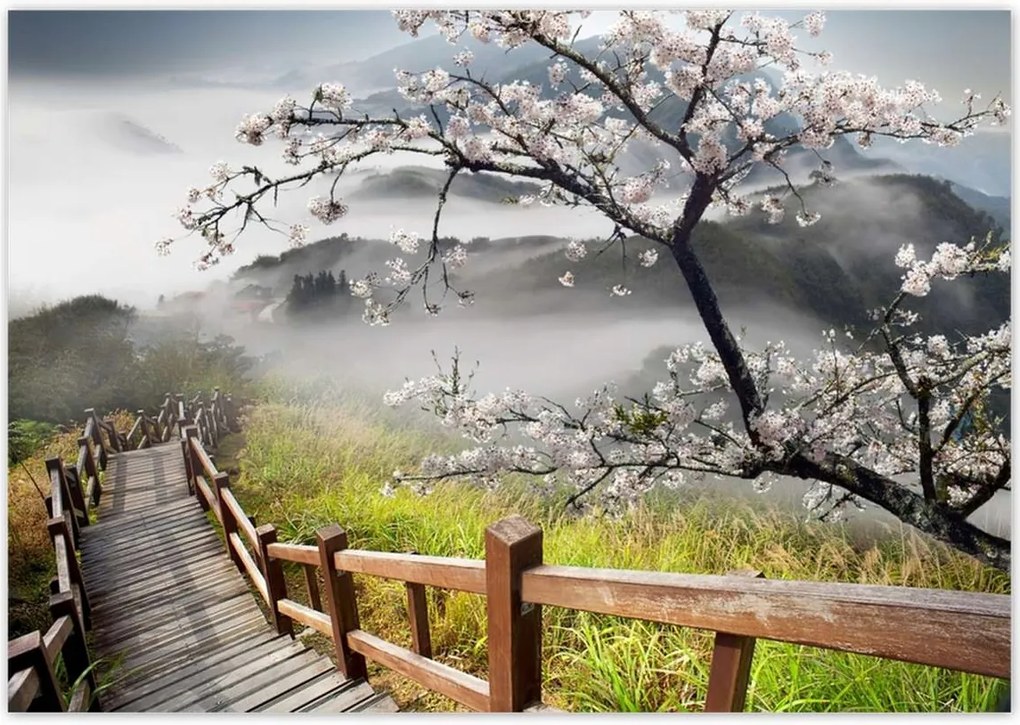 Poszterek 100x70 Japán Virágzó cseresznye