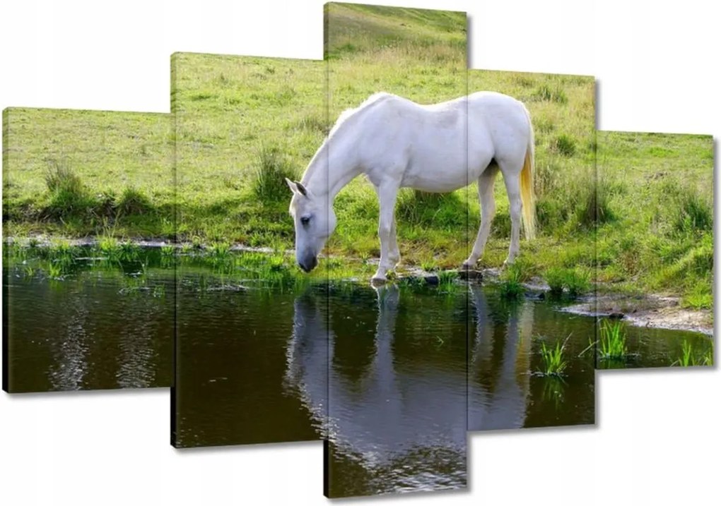 Vászonkép 120x80 Fehér ló