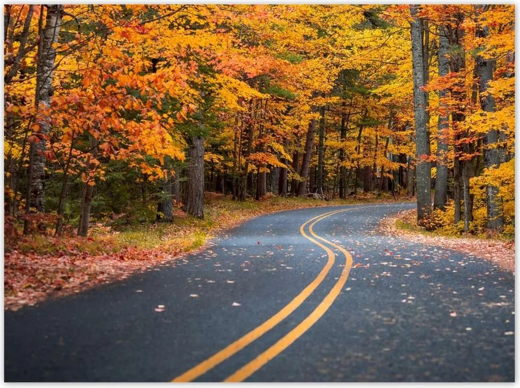 Poszterek 135x100 Tájkép Látvány