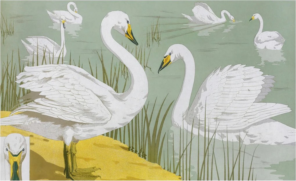 Flizelina Dekoratív Fotótapéta Hálószoba Hattyúk tó 416x254 Ragasztó