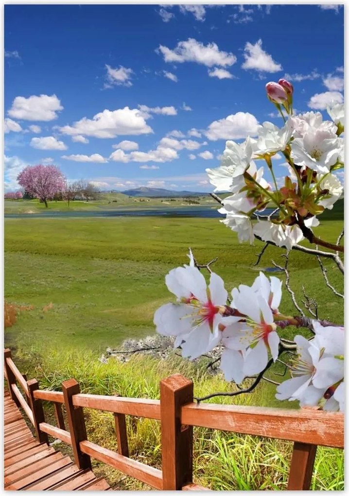 Poszterek 70x100 Lépcsőn lefelé