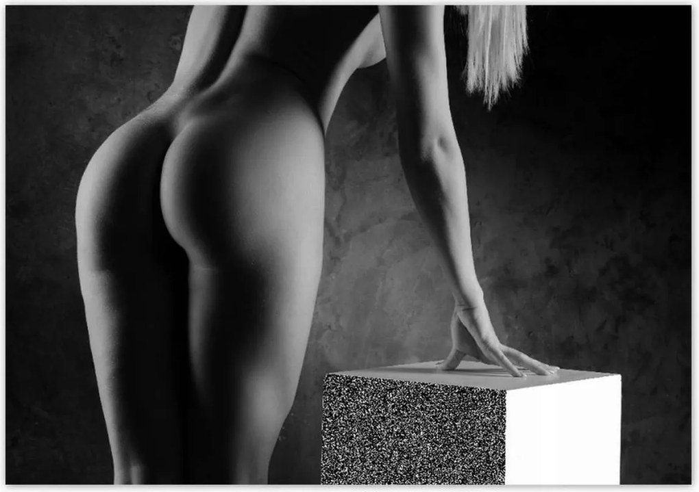 Poszterek 100x70 Aktok Meztelenség Szerelem Fotó