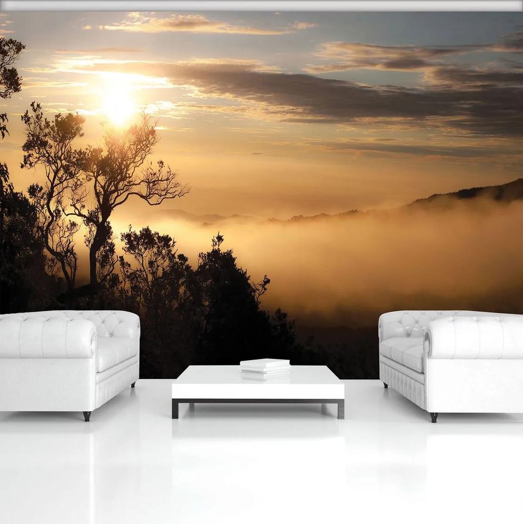 Fotótapéta - Napkelte a ködös erdő fölött (254x184 cm)