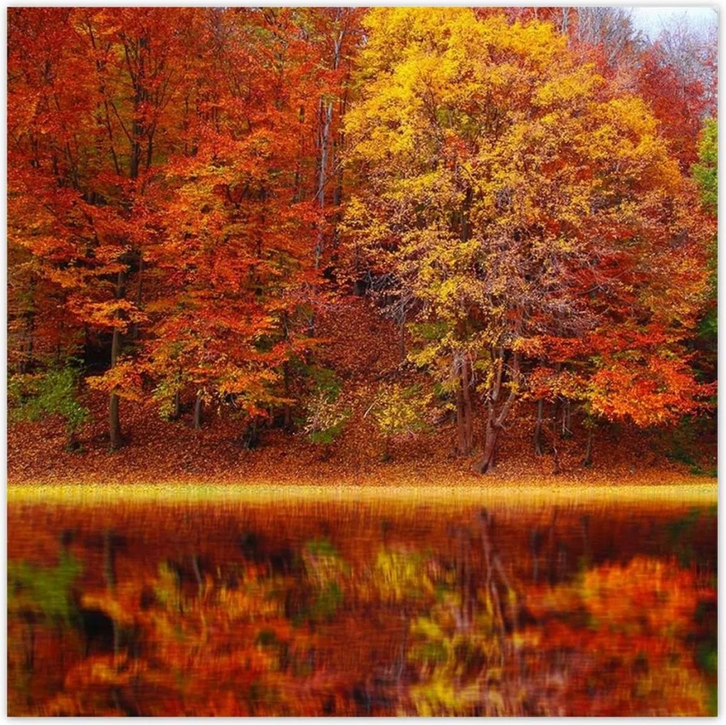 Poszterek 70x70 Őszi táj