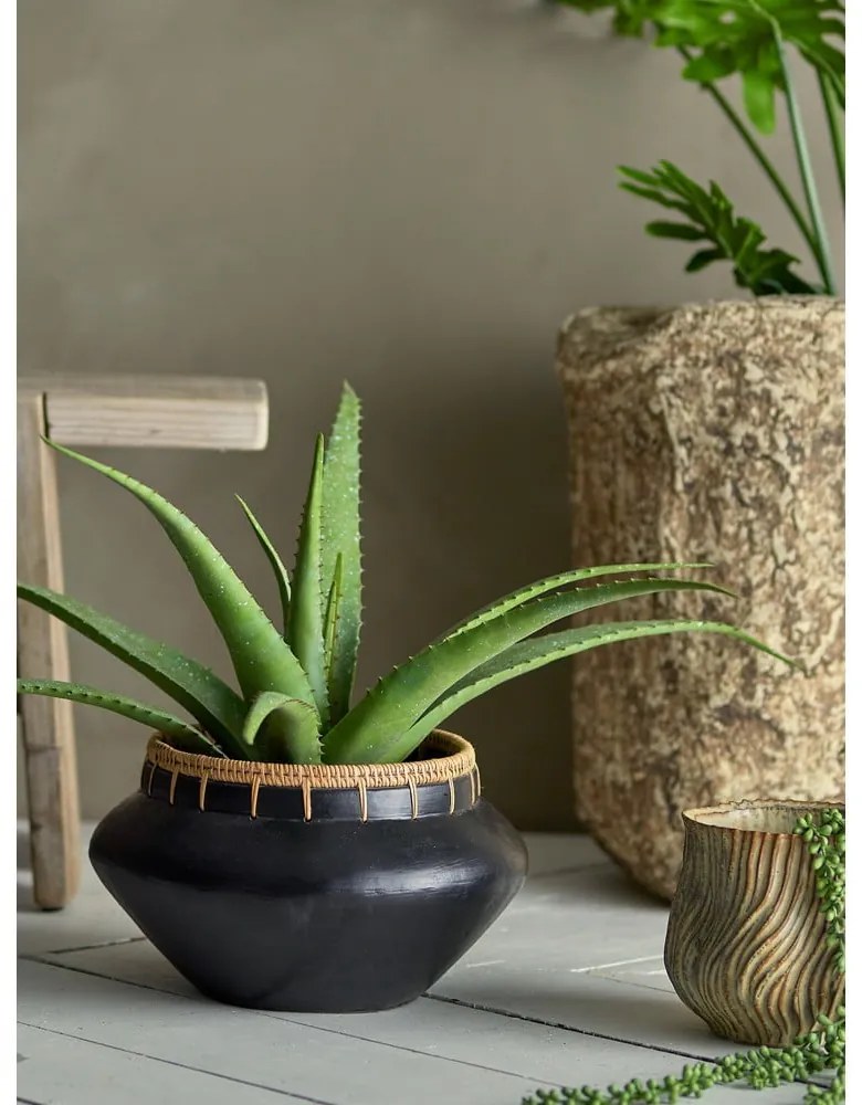 Műnövény (magasság 61 cm) Aloe – Bloomingville