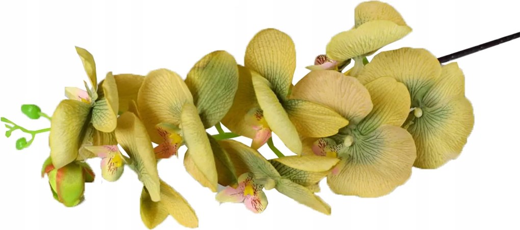 Orchidea művirág, zöld 66cm Művirág Kiegészítők Kompozíciók