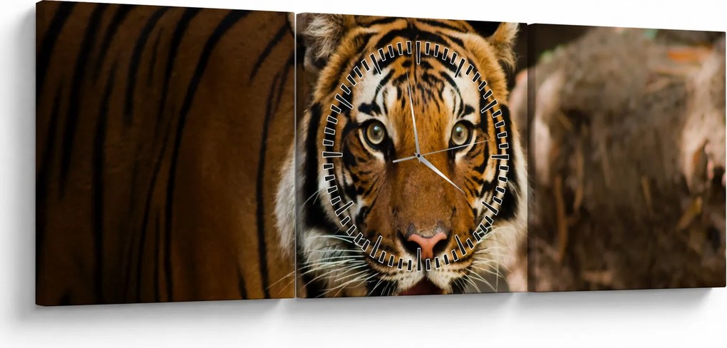 Tigris képe (órával) (90x30 cm)