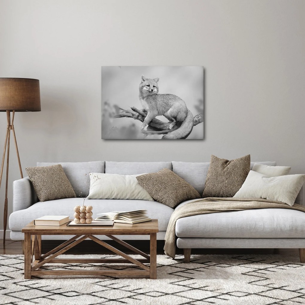 Kép - Szürke róka (70x50 cm)