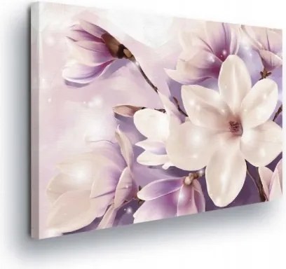 Vászonkép 60x40 Magnólia virágok virágzás finom pasztell rózsaszín fehér