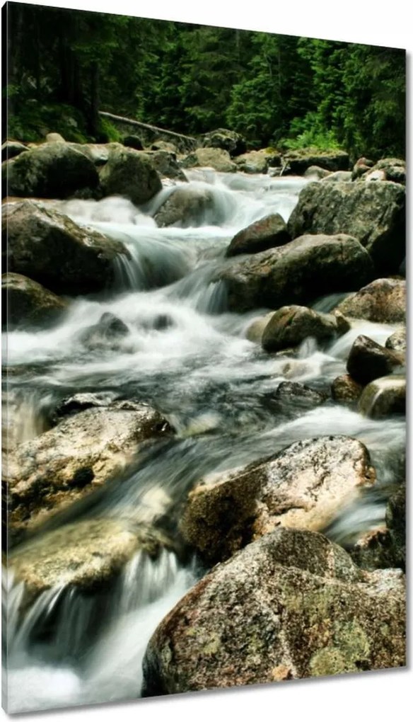 Vászonkép 80x120 Tátra Lengyel hegyek Kilátás