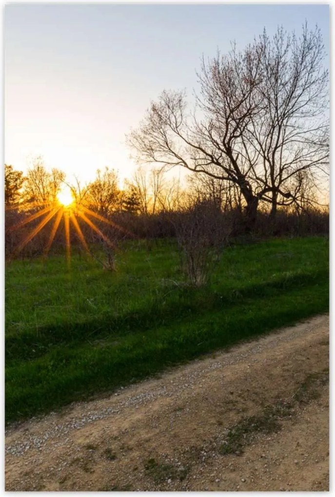 Poszterek 80x120 Mező út Fák Mezők