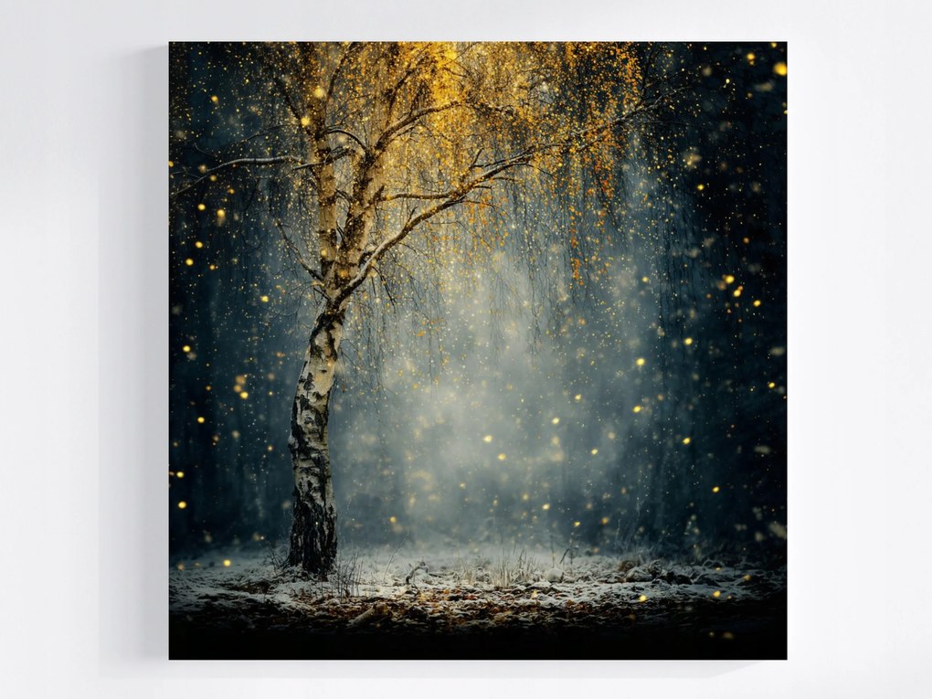 Vászonkép Canvas Természet Éjszaka Park Nyírfa Ősz Tél 40x40