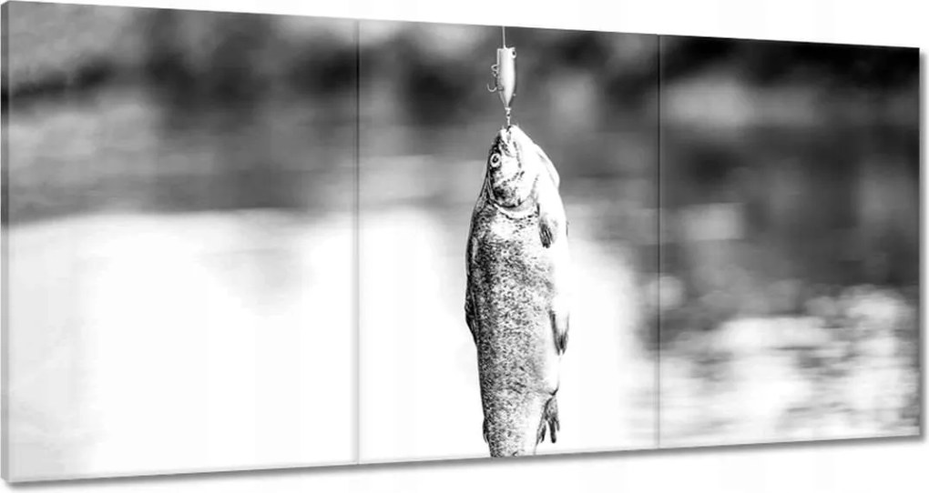 Vászonkép 180x90 Pisztráng a horogon hal