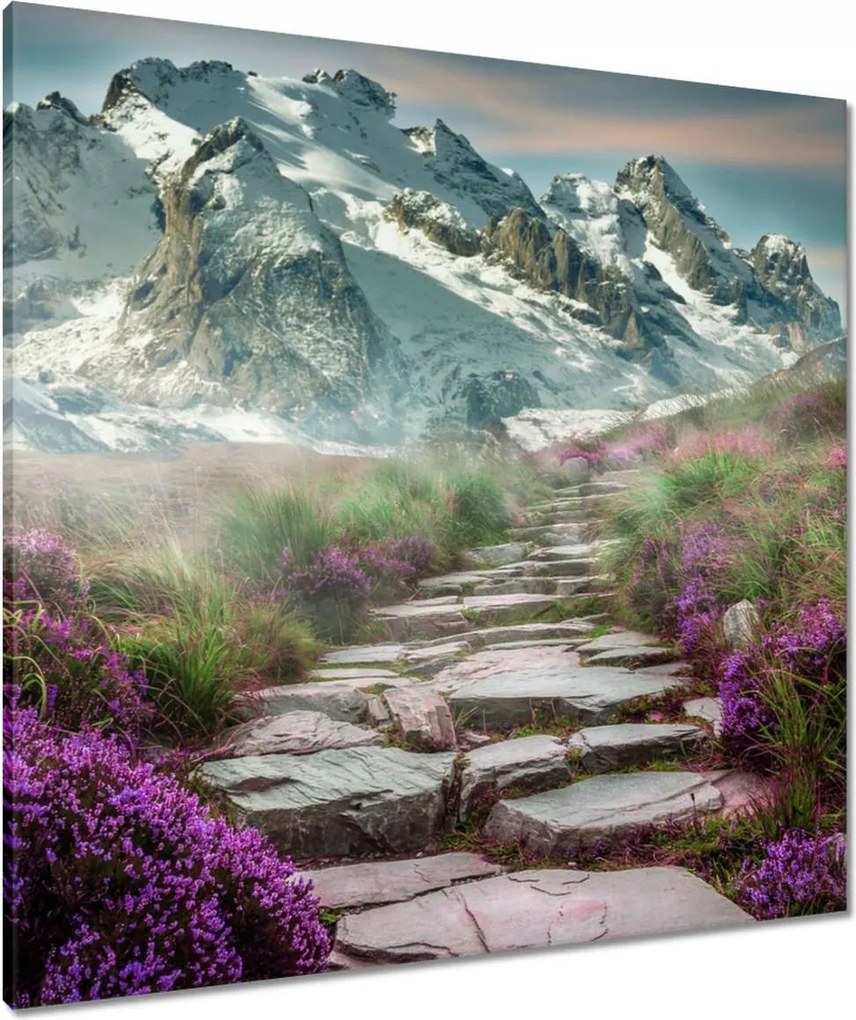 Vászonkép 80x80 Hegyi táj Tájkép