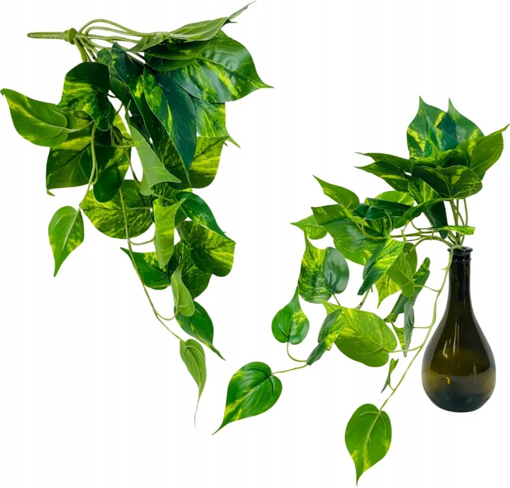 Filodendron Levélcsokor Mű Filodendron Levelek Zöld Füzérek Sláger